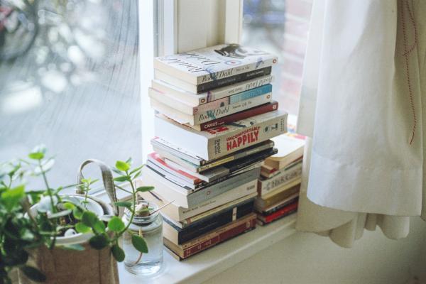A stack of books beside a small plant on a windowsill.